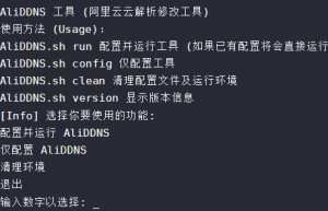 自建DDNS教程「阿里云 AliDDNS 2.0」